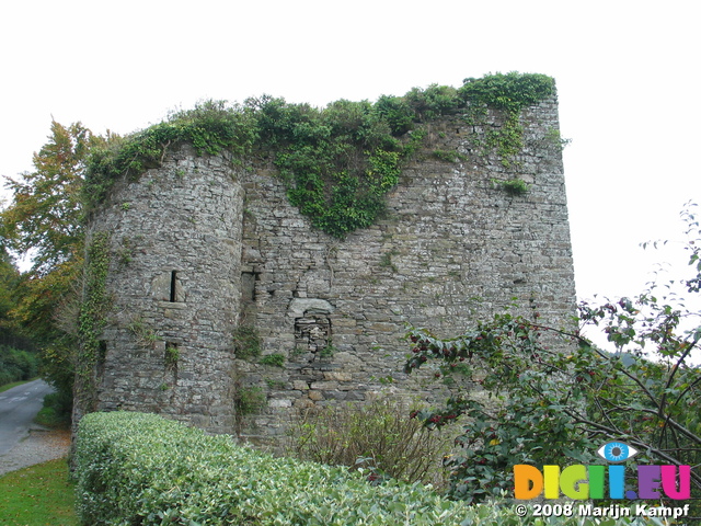 24018 Castle near Kinsale